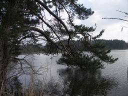 Resize of PICT0108.JPG